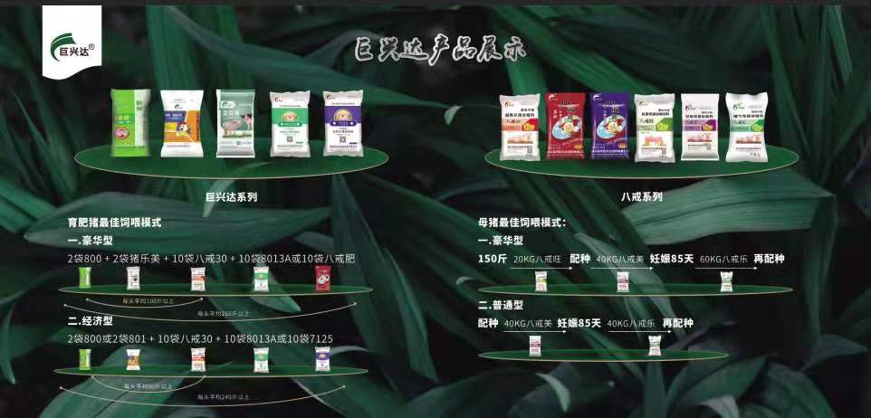 巨興達